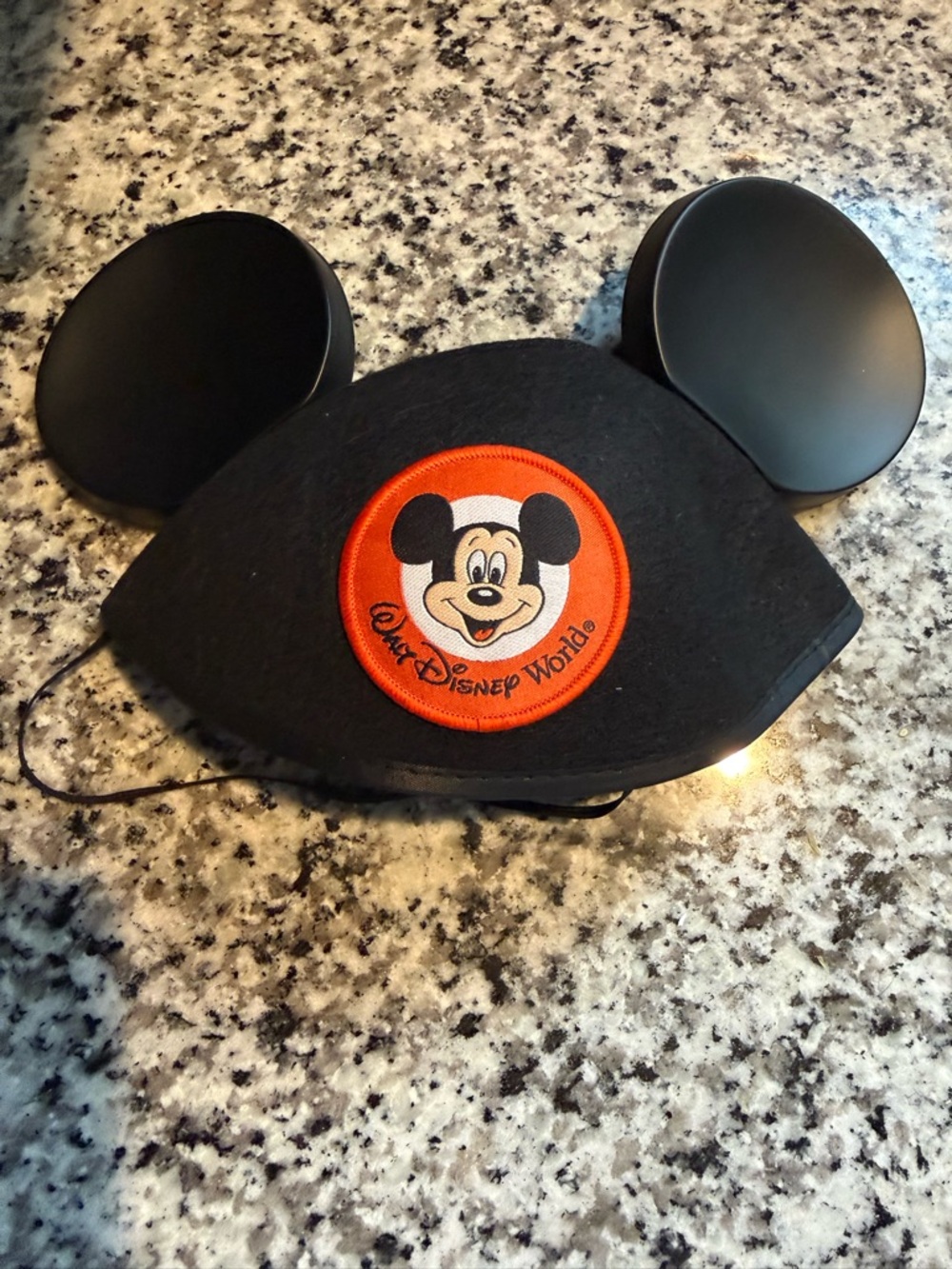 Walt Disney World Mickey Ears